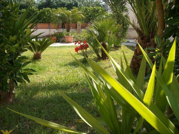 Guest house Fiori 3*